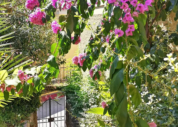 Secret Garden With Private Parking Space Apartment