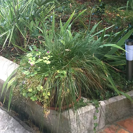 Secret Garden Center With Private Parking Space Opatija