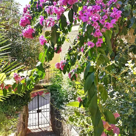 Secret Garden With Private Parking Space Appartamento