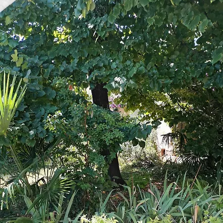 Secret Garden With Private Parking Space Οπατία