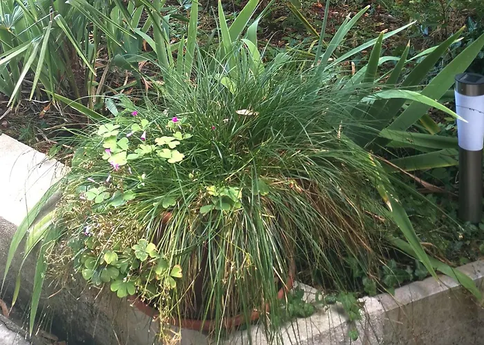 Secret Garden With Private Parking Space Opatija